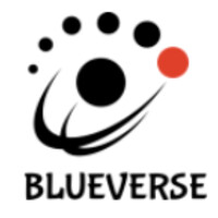 Blue Verse Systems