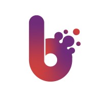 Blinx Solutions