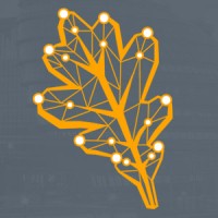 Oakleaf Surveying Ltd