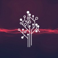 Teamsearch - Global Market Research Data Collection