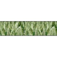 AGROTRADE GROUP