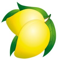 Mango Solutions Recruitment Group Ltd