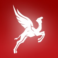 Flying Machine - Branding Boutique