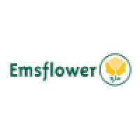Emsflower GmbH