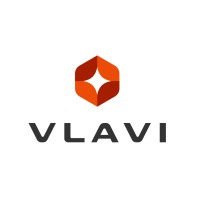 VLAVI Group
