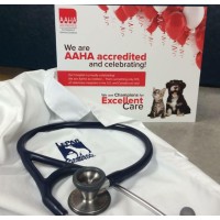 Lepar Animal Hospital P C Inc