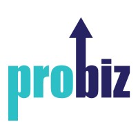 Professional Business Services, Inc.