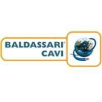BRUNO BALDASSARI & F. lli S.p.A.