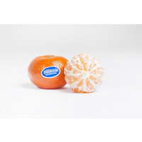 Frutas Plasencia SL