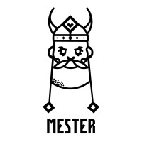 Mester szkoła języków skandynawskich Sp. z o.o.