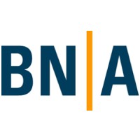 BN Automation AG