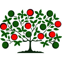 Shaker Pointe at Carondelet