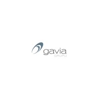 GRUPO GAVIA