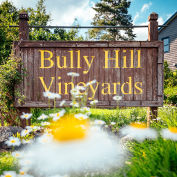 Bully Hill Vineyards Inc