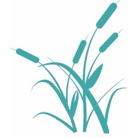 Senior Care Options Inc.