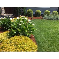Neighborhood Lawn Care