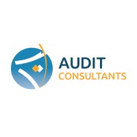AUDIT CONSULTANTS