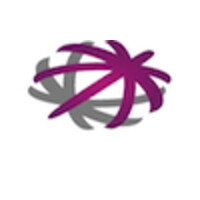 Consultor Técnico