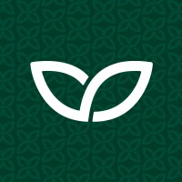 Wikli