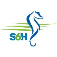 Seaford Head Academy