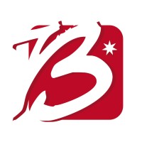 Grupo Balimsa