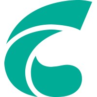 New Cosmos Electric Co., Ltd.