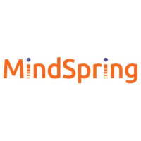 MindSpring Partners LLC