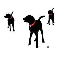 BISSELL Pet Foundation