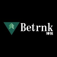 Betrnk Inc