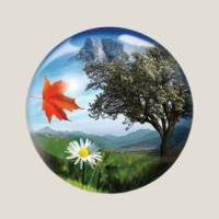 Grant Management Associates - Grant Writing and other Services