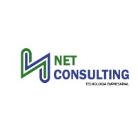 Net Consulting