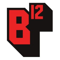 BLUE TWELVE STUDIO