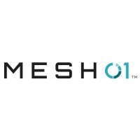 MESH01