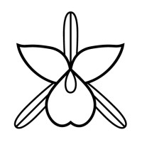 White Orchid Interiors