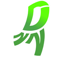 Dementie Netwerk Nederland (DNN)