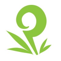 Patopo Studio