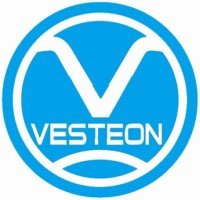 Shandong Vesteon Automotive Parts Group Co.,Ltd