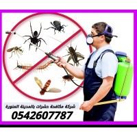 Pest Control