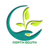 North South Group