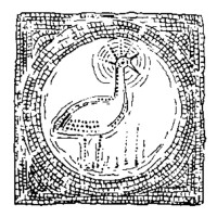 Phoenix Archeologia S.r.l.