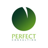 Perfect Consulting