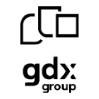 GDX Group