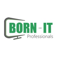 BORN-IT Professionals