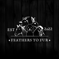 Feathers To Fur