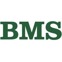 BMS Kranar AB
