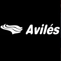 GRUPO AVILÉS