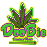 DooB & DooBie Pre-Rolled cones
