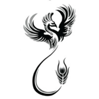 Phoenix Design Group Co.,Ltd