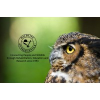 WILDLIFE IN NEED CENTER LTD