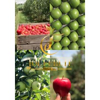 JOUFFRUIT